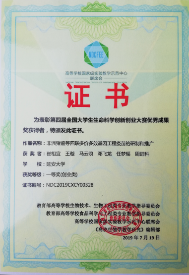 员工获奖证书